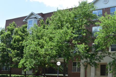 3135 Town Square Dr #204, Rolling Meadows, IL 60008 photo 2