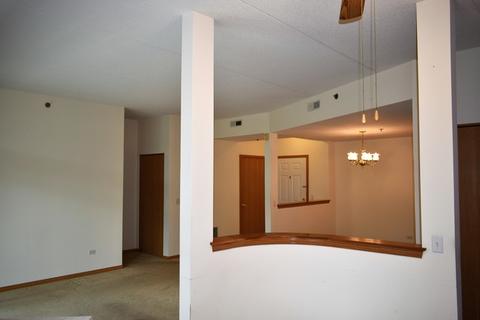 3135 Town Square Dr #204, Rolling Meadows, IL 60008 photo 7