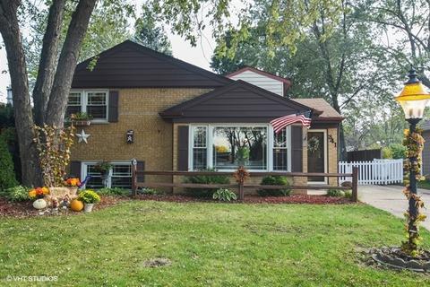 341 Amherst Ave, Des Plaines, IL 60016 photo 15