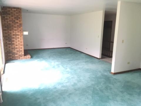 100 Jaclay Ct, Sleepy Hollow, IL 60118 photo 5