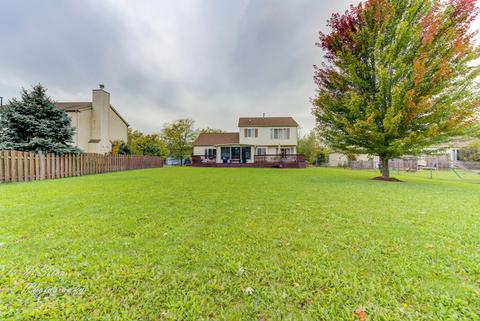 1111 Dawson Ln, Algonquin, IL 60102 photo 28