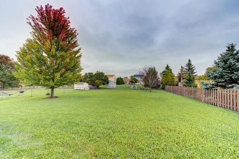 1111 Dawson Ln, Algonquin, IL 60102 photo 27