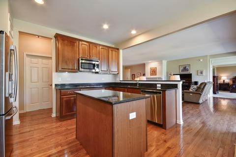 2456 Sandy Stream Ln, Elgin, IL 60124 photo 10