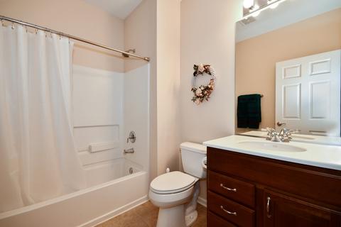 2456 Sandy Stream Ln, Elgin, IL 60124 photo 21