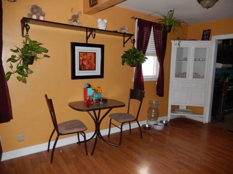 543 S Main St, Kankakee, IL 60901 photo 4