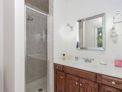 921 Forest Dr, Elgin, IL 60123 photo 19