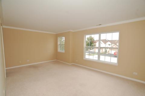 335 Emerald Ln, Algonquin, IL 60102 photo 14