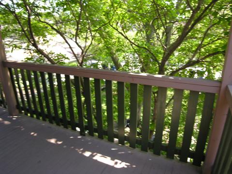 11333 S Champlain Ave, Chicago, IL 60628 photo 13