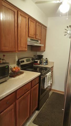 4529 Prescott Ave #3W, Lyons, IL 60534 photo 4
