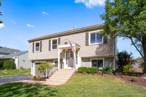 255 Meade Ct, Bartlett, IL 60103 photo 1