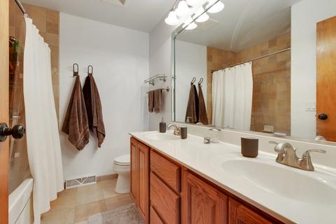 4155 Dixon Dr, Hoffman Estates, IL 60192 photo 17