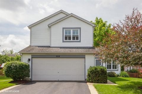 5218 Brindlewood Dr, Plainfield, IL 60586 photo 1