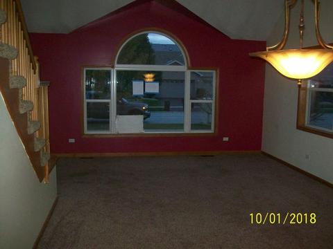 1409 Trailside Dr, Beecher, IL 60401 photo 3