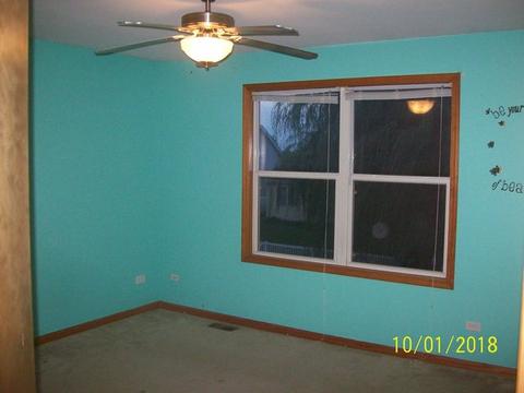 1409 Trailside Dr, Beecher, IL 60401 photo 9
