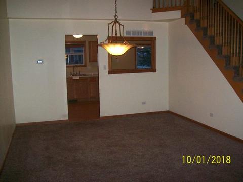 1409 Trailside Dr, Beecher, IL 60401 photo 8