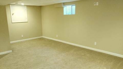 918 Eagle Point Dr, Matteson, IL 60443 photo 20