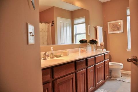 5802 River Birch Dr, Hoffman Estates, IL 60192 photo 20