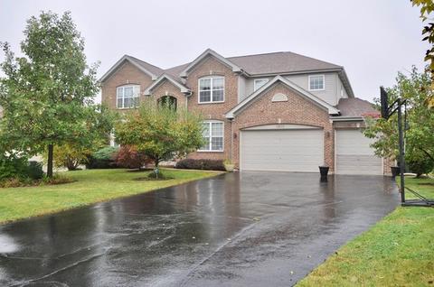 5802 River Birch Dr, Hoffman Estates, IL 60192 photo 1