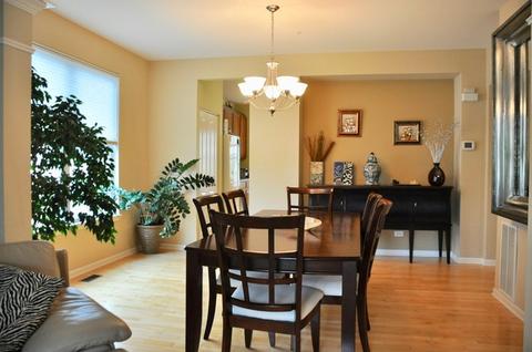 5802 River Birch Dr, Hoffman Estates, IL 60192 photo 7