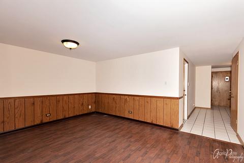 388 Lynn Ct, Des Plaines, IL 60016 photo 7