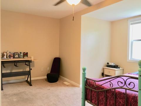 563 N Mitchell St, Braidwood, IL 60408 photo 24