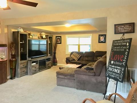 563 N Mitchell St, Braidwood, IL 60408 photo 14