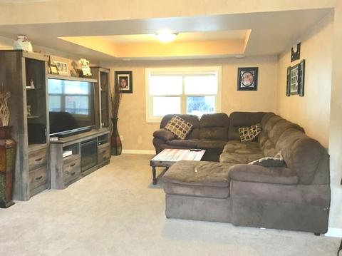 563 N Mitchell St, Braidwood, IL 60408 photo 16