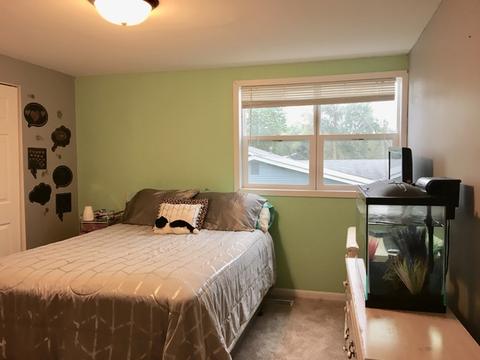 563 N Mitchell St, Braidwood, IL 60408 photo 27