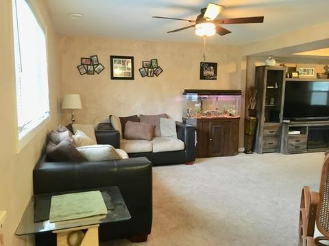 563 N Mitchell St, Braidwood, IL 60408 photo 15
