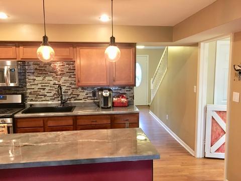 563 N Mitchell St, Braidwood, IL 60408 photo 9