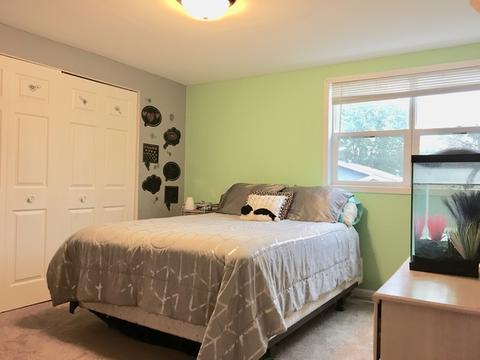 563 N Mitchell St, Braidwood, IL 60408 photo 26