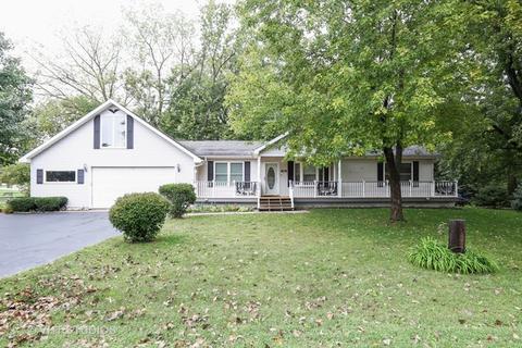 404 N Lincoln St, Braidwood, IL 60408 photo 1