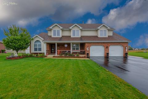 1183 Ash St, Beecher, IL 60401 photo 1