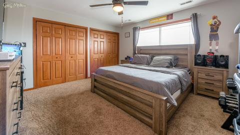 1183 Ash St, Beecher, IL 60401 photo 13