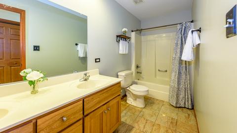 1183 Ash St, Beecher, IL 60401 photo 15
