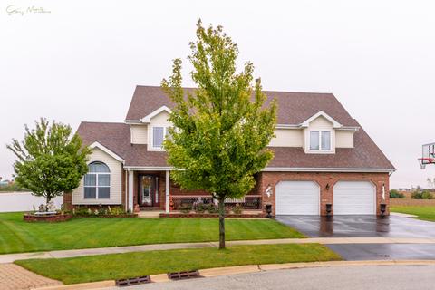 1183 Ash St, Beecher, IL 60401 photo 28