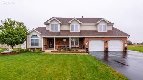 1183 Ash St, Beecher, IL 60401 photo 30