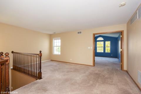 2407 Millpond Ct, Plainfield, IL 60586 photo 9