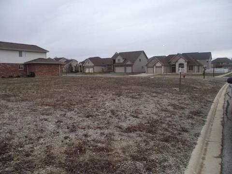 250 Maple St, Beecher, IL 60401 photo 1