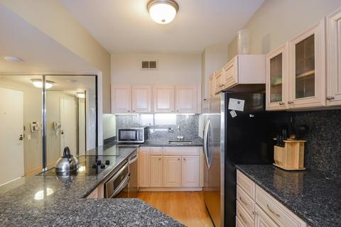 175 E Delaware Pl #5001, Chicago, IL 60611 photo 4
