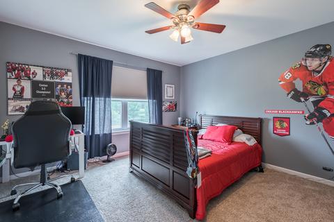 25139 Fieldbrook Dr, Plainfield, IL 60544 photo 20