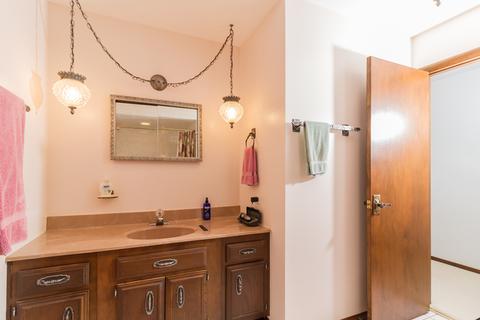 16909 Holmes Ave, Hazel Crest, IL 60429 photo 22
