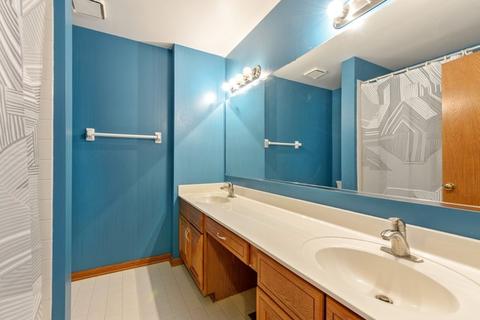725 Chestnut Ct, Bartlett, IL 60103 photo 20