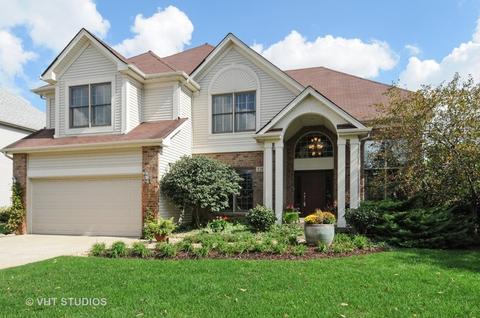 12027 Winterberry Ln, Plainfield, IL 60585 photo 3