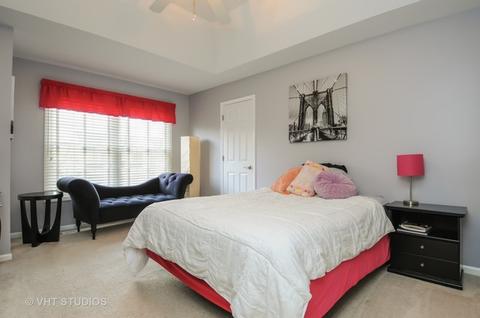12027 Winterberry Ln, Plainfield, IL 60585 photo 16