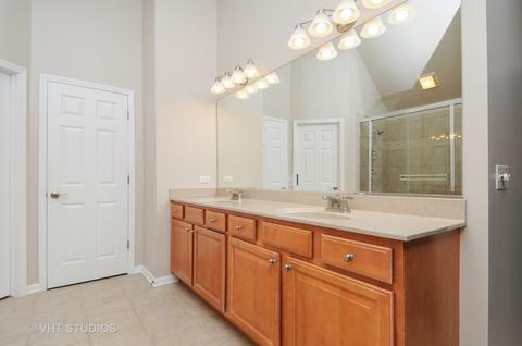 12027 Winterberry Ln, Plainfield, IL 60585 photo 13