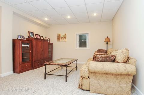 12027 Winterberry Ln, Plainfield, IL 60585 photo 20