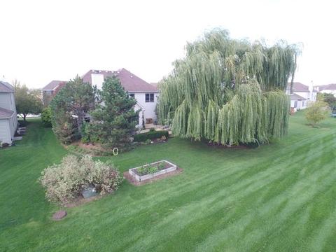 12027 Winterberry Ln, Plainfield, IL 60585 photo 34