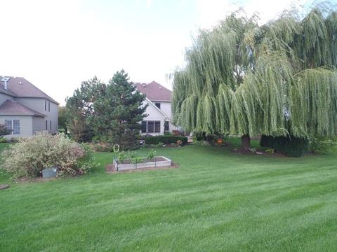 12027 Winterberry Ln, Plainfield, IL 60585 photo 35