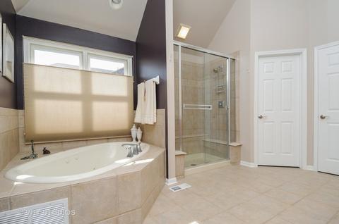 12027 Winterberry Ln, Plainfield, IL 60585 photo 14